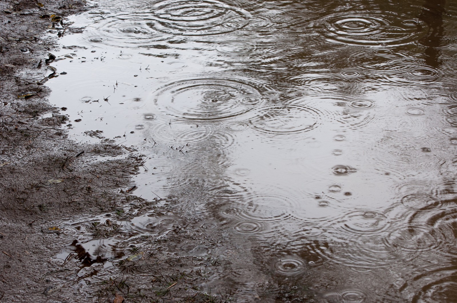 雨でラウンド予定がキャンセルに・・・そんな時どうする？