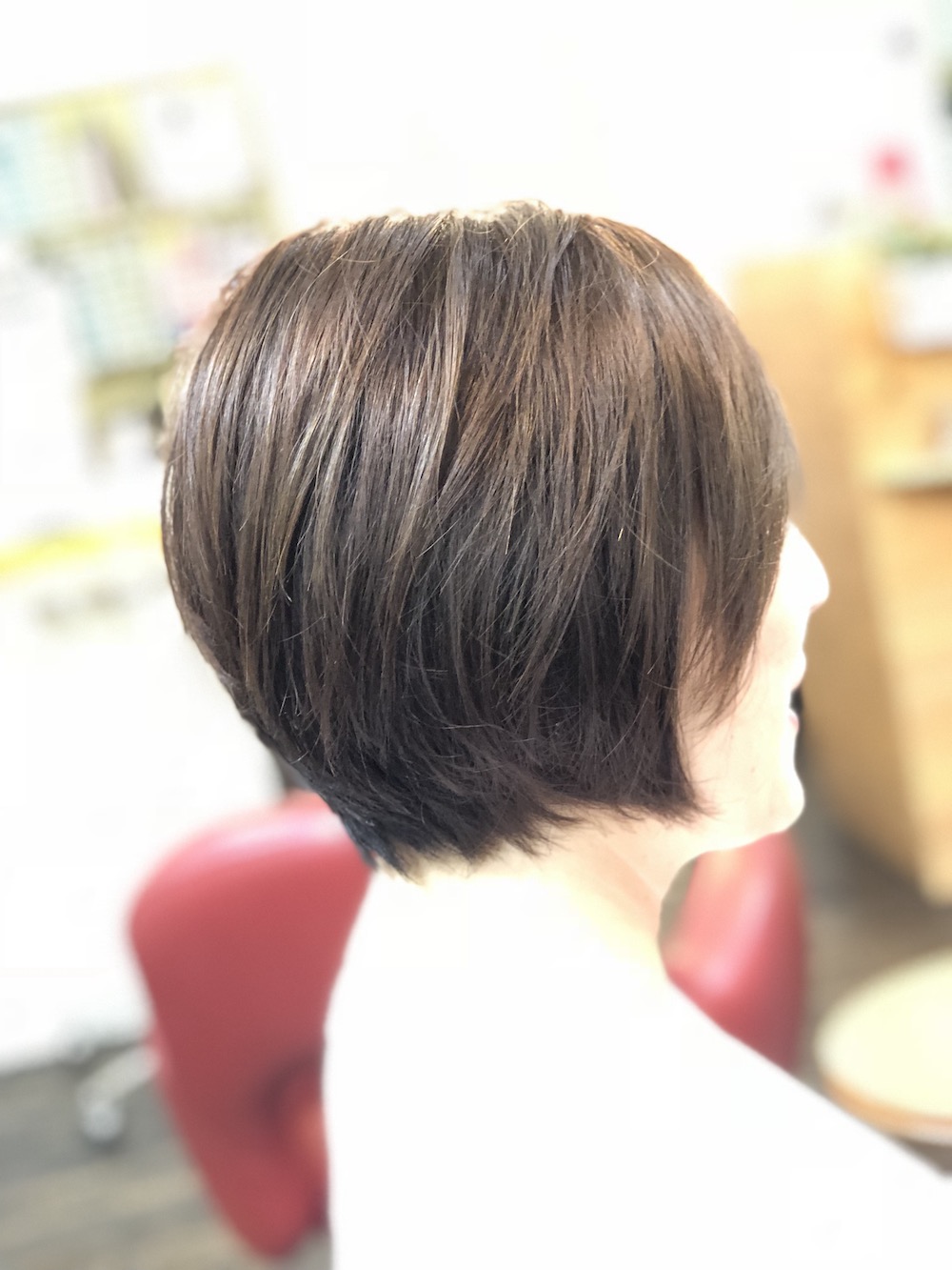 15cm以上でできるボランティア