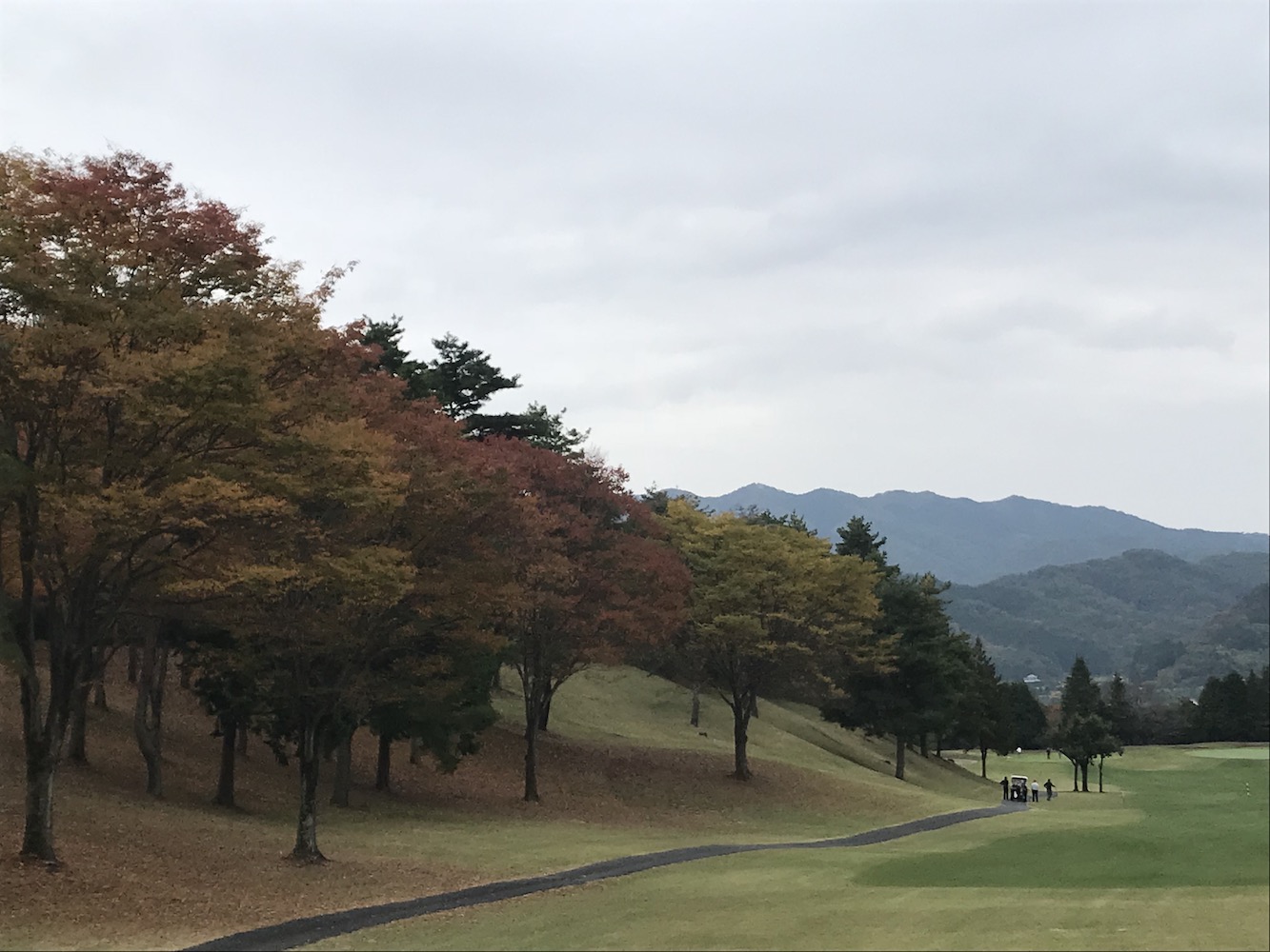 コンペで学ぶプレースタイル