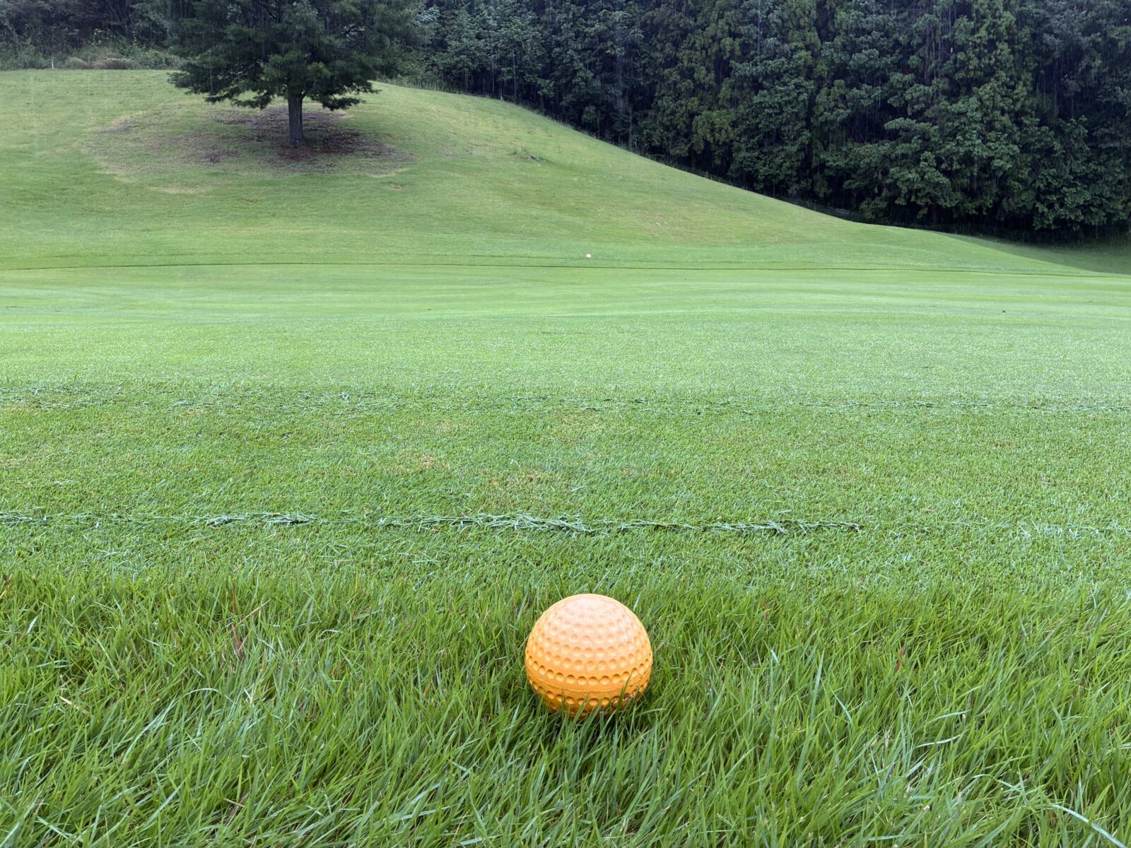 Playing 4 yellow marker located on a Japanese golf course